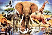 Africká zvěř