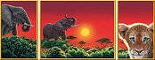 Afrika