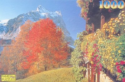 Berner Oberland, Švýcarsko