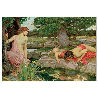 Echo a Narcissus