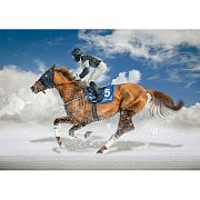Finále závodu