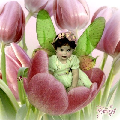 Kráska v růžovém tulipánu