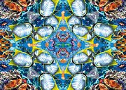 Oceán - kaleidoskop