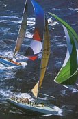 Regata
