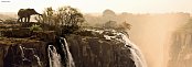Slon