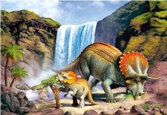 Triceratops