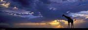 Západ slunce
