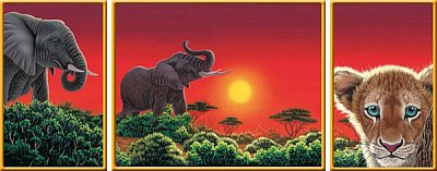 Afrika