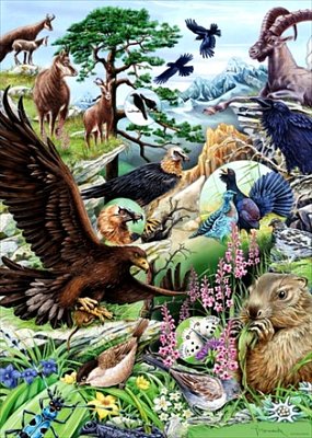 Flora a fauna