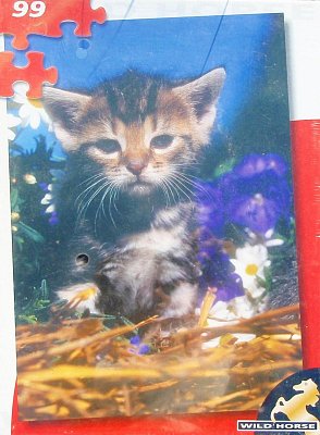 Koťátko