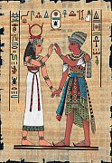 Papyrus