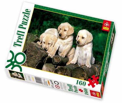 Štěnata Labradora